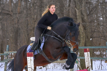 A girl on a horse jumps over the barrier. Training girl jockey riding a horse. A cloudy winter day.
