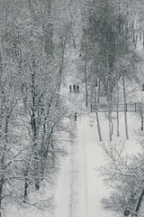 image of the alley of the city park in winter during snowfall from a bird's eye view