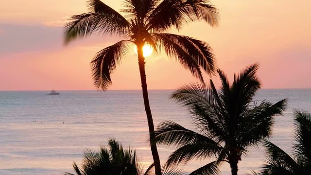  Professional video of colorful sunset in Waikiki beach Hawaii in 4k slow motion 60fps