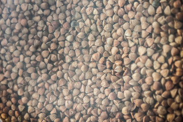 Buckwheat in the glass jar