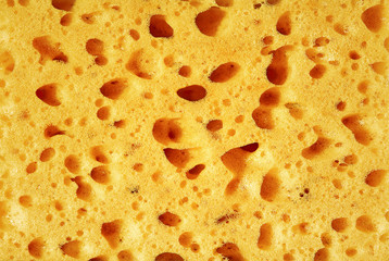Sponge, porous material. Texture background