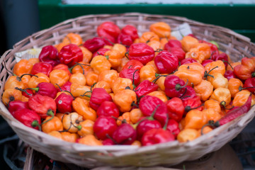 Smelling pepper in straw basket