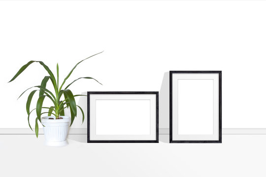 Two blank photo frames mock up and Yucca plant in white flower pot 