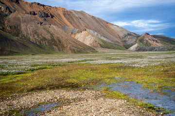 Volcanic mountains of Landmannalaugar in Fjallabak Nature Reserve. Iceland