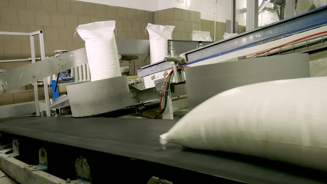 Processing sugar beet at a sugar refinery. Packing sugar. Bags of sugar are moved on a conveyor belt. 4K