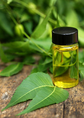 Medicinal neem leaves with essential oil