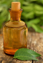Medicinal neem leaves with essential oil