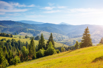 Great view of the alpine valley. Location place Carpathian, Ukraine, Europe.