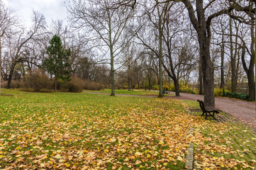 Letna park in Autumn time, Letenske sady, in Prague, Czech Republic