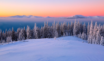 From the lawn, covered with snow, a panoramic view of the covered with frost trees, fog, tall, steep mountains, an interesting sunrise with a pink sky. Good winter day.