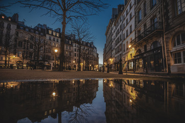 Paris dans une flaque