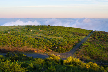 Road on Paul da Serra plateau, Madeira, Portugal