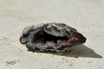 Druse Geode Achat Stein auf weißer Mauer  im   Sonnenlicht        