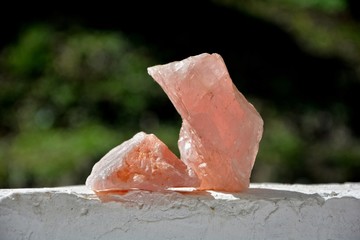 Zwei rosafarbene  Rosenquarze im Sonnenlicht auf weißer Mauer vor grüner  Natur