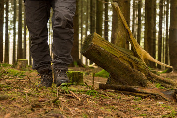 Vandring i skogen med känger