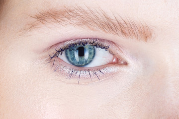 Obraz premium Close up shot of female eye make up in smoky eyes style