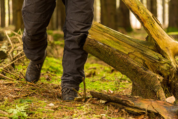 Vandring i skogen med k&auml;nger