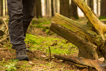 Vandring i skogen med känger