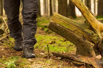 Vandring i skogen med känger