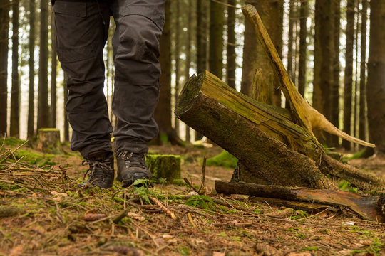 Vandring i skogen med k&auml;nger