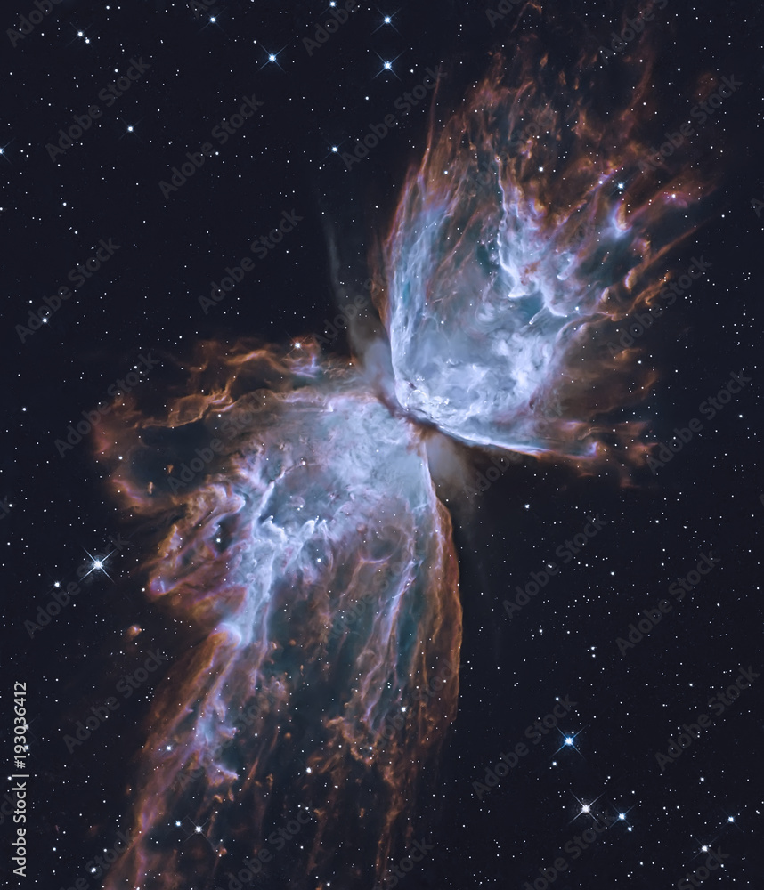 Canvas Prints the butterfly nebula. elements of this image furnished by nasa. retouched image.