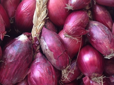 cipolla di tropea