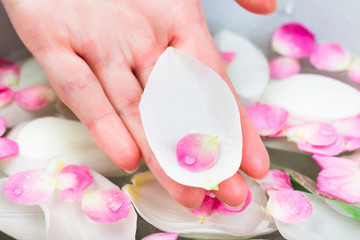 Obraz na płótnie Canvas care, treatment, nature concept. delicate spa procedure for hands includes bath with lots of petals of different flowers such as tulips and roses