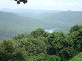 green trees with river and mountains