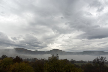nature, atmosphere, wildlife concept. the sky like a sea all covered by waves, puffy grey clouds,...