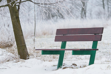 Bench in winter nature. Winter scene with bench.