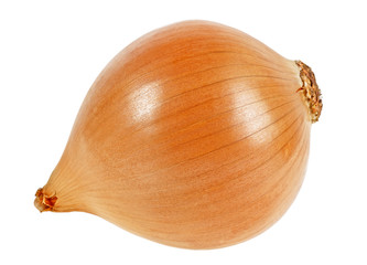 Yellow onion on a white background