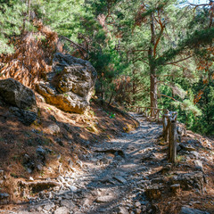 Samaria Gorge in central Crete, Greece