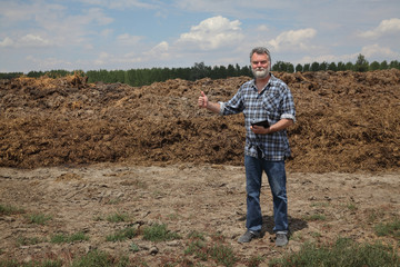 Fototapeta premium Farmer or agronomist examining heap of cow dung in field and gesturing, using tablet to calculate