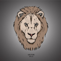 Portrait of a lion. Can be used for printing on T-shirts, flyers and stuff. 