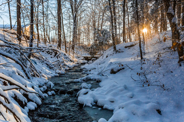 Winter stream in forest morning sunrise