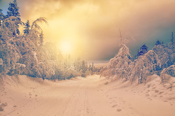 Stunning winter landscape with snow-covered trees.