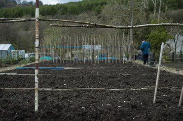allotment