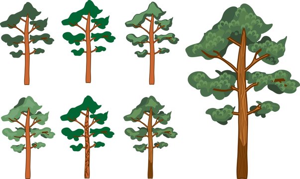 Set of pine trees