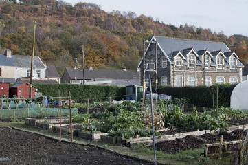 allotment