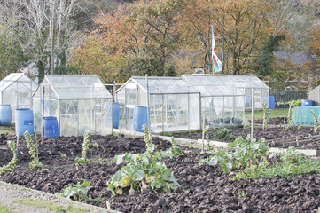allotment