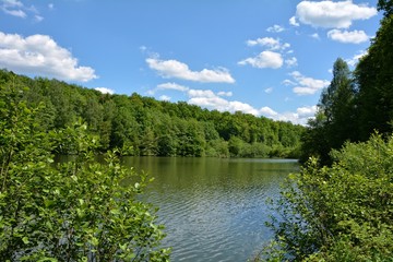 Fototapeta na wymiar Kleiner See mit vielen grünen Bäumen, blauem Himmel und weißen Wolken