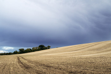 Fototapeta na wymiar Dark Skies Above Empty Farm Field
