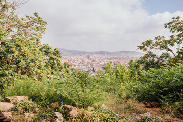 Panoramic view of Barcelona on a summer day