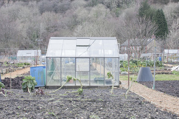 allotment