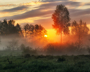 spring morning. a misty dawn in a picturesque meadow. Sun rays