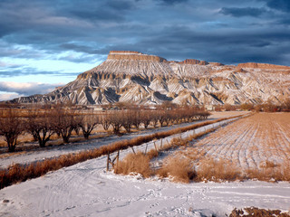 Colorado Mesa in Grand Junction