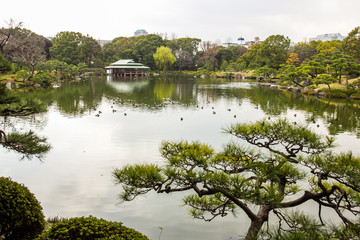 Kiyosumi   TEIEN  garden with artificial pond.  TOKYO