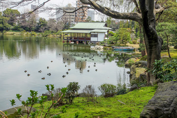 Fototapeta na wymiar Kiyosumi TEIEN garden with artificial pond. TOKYO