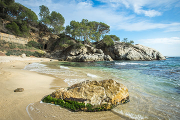 une plage de sable d'or au raz du sol avec des rochers en premier plan, et des pins