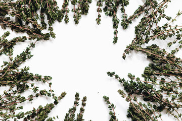 flat lay of green aromatic herbs isolated on white background